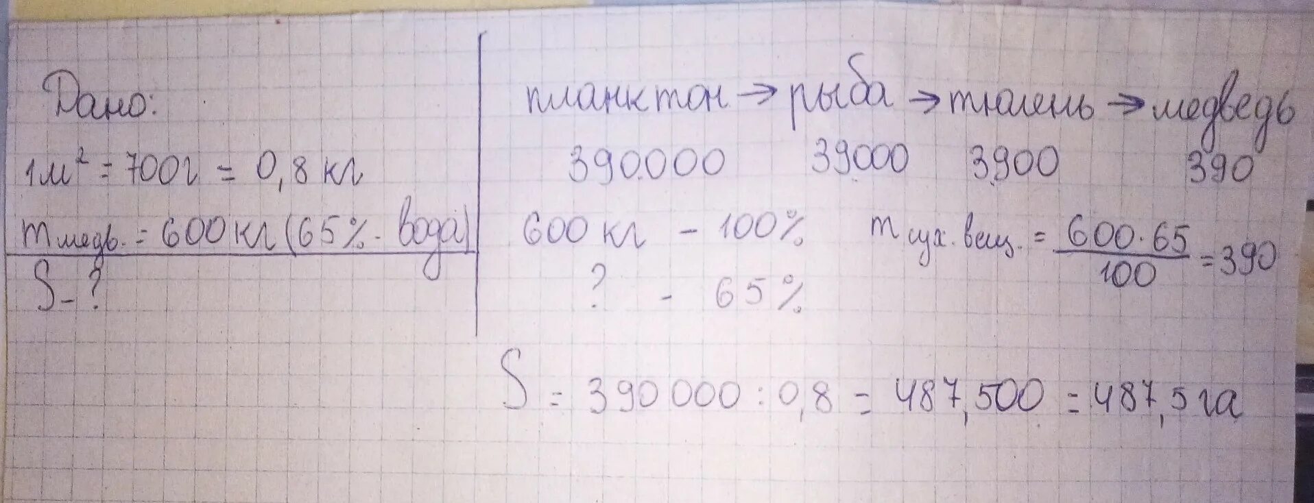 Какое количество планктона в кг. Биомасса планктона составляет 500 г/м^2. 700г м2. Задачи на биомассу. Масса планктона.