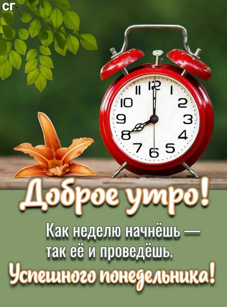 Пин на доске 26 Ноября. Осенний день, Коллеги по работе, Открытки