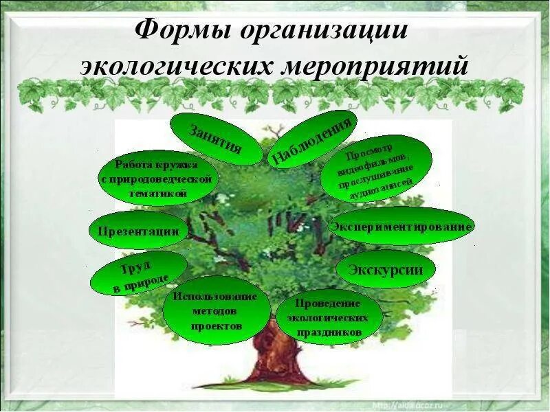 Темы экологических работ. Мероприятия по экологии. формы экологических мероприятий. формы проведения экологических мероприятий. мероприятия экологической направленности.