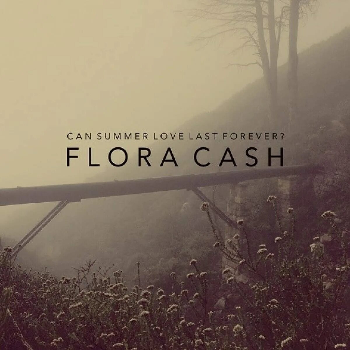 I gonna make this last forever. Flora cash. ласт форевер. flora cash band. эмоция last forever.