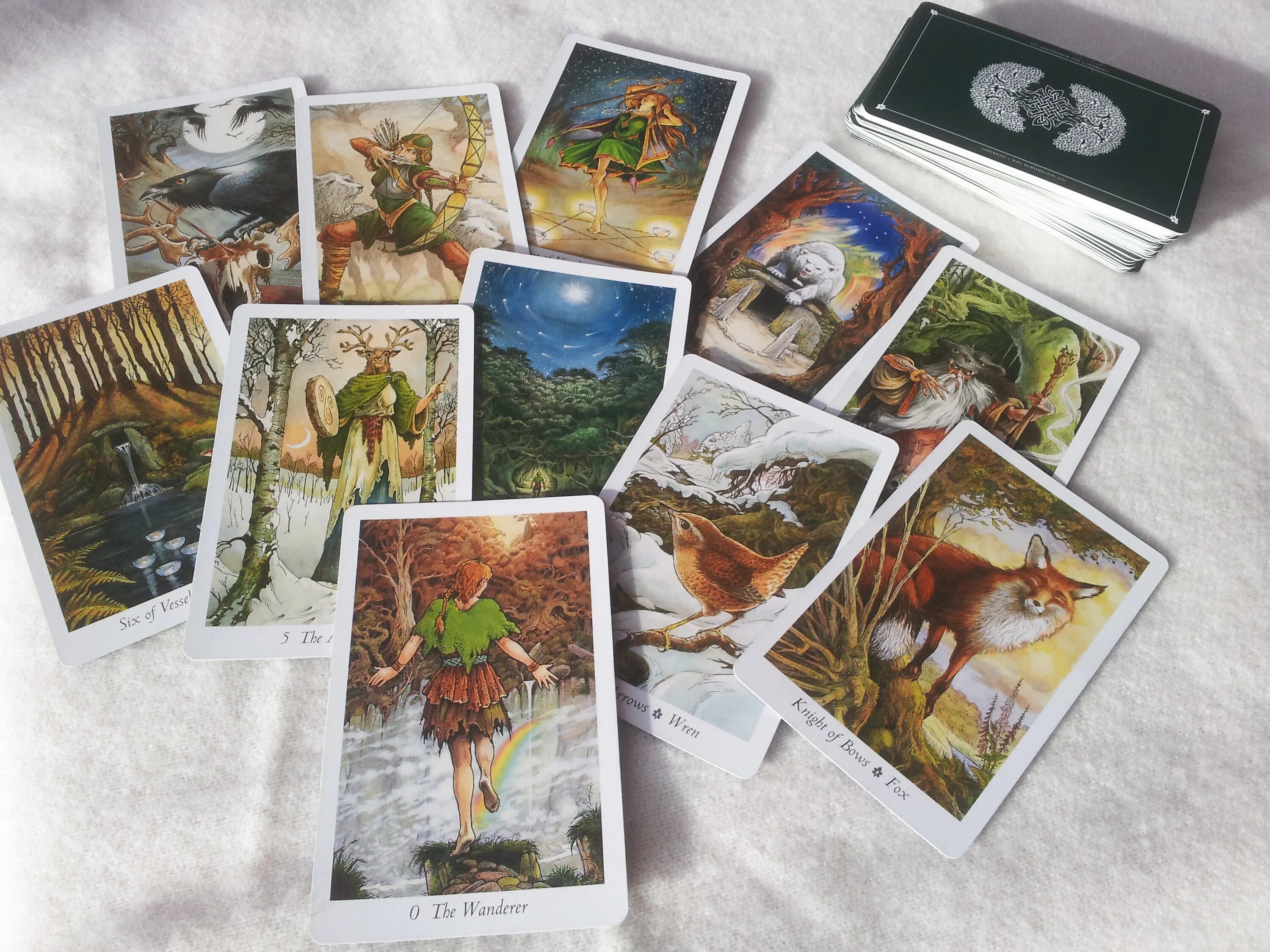 Колода Wildwood Tarot. Колода Таро дикого леса. Карты Таро Wildwood Tarot. Таро дикого дерева галерея. Таро отзывы людей