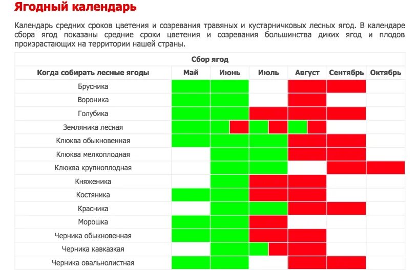 Календарь сбора ягод. Сроки созревания ягод. Сроки сбора ягод. Календарь сбора лесных ягод.