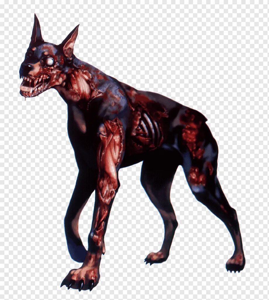 Доберман из обитель зла. Собака из обитель зла. Обитель зла фильм 2002 собаки. Обитель зла ракун-сити собака. Обитель зла фильм доберманы.