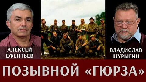Гюрза позывной википедия