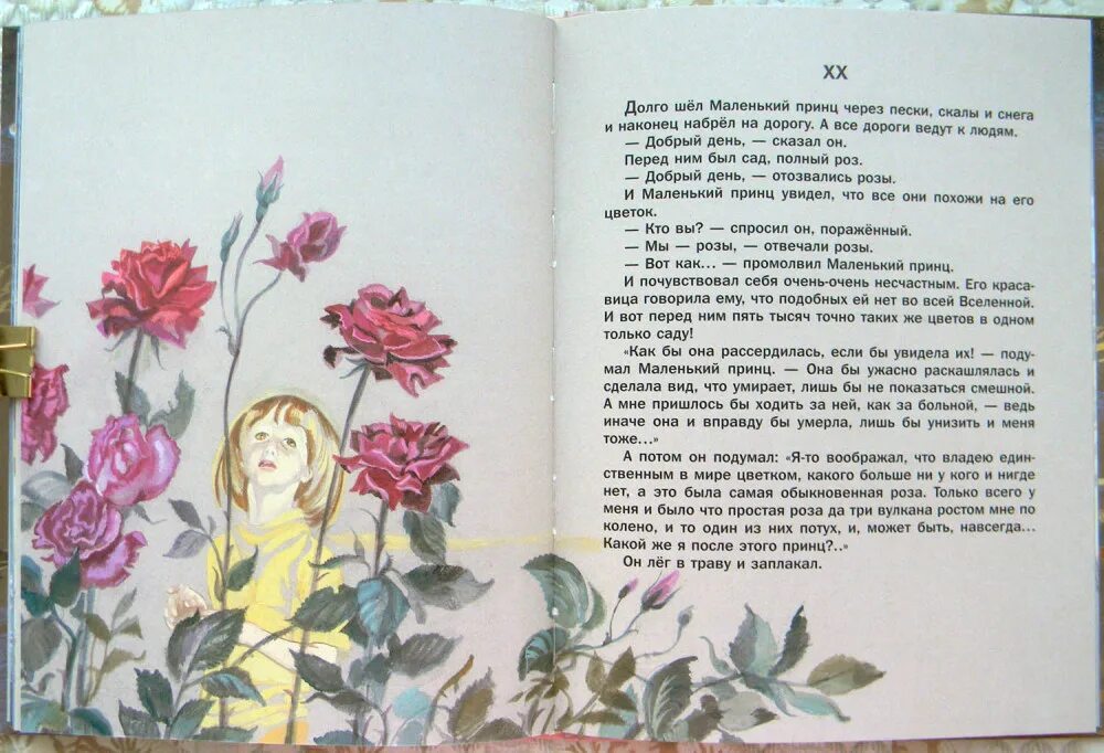Сказка о Розе. Слова из маленького принца про розу. Отрывок из маленького принца. Машин букет сказка читать полностью