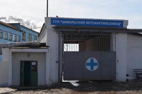 Ветеринарные арзамас