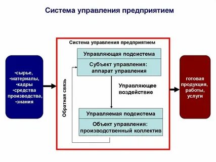 Современная организация представляет собой систему