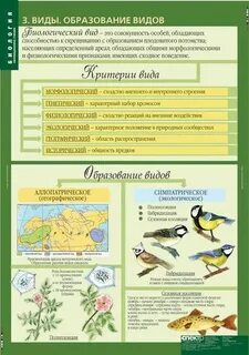 Общая биология таблицы