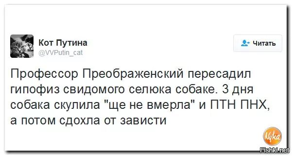 Сдохнешь потом расскажешь. Вмерла Украина. Размовлять. Гифки Преображенский профессор про свидомых украинцев.