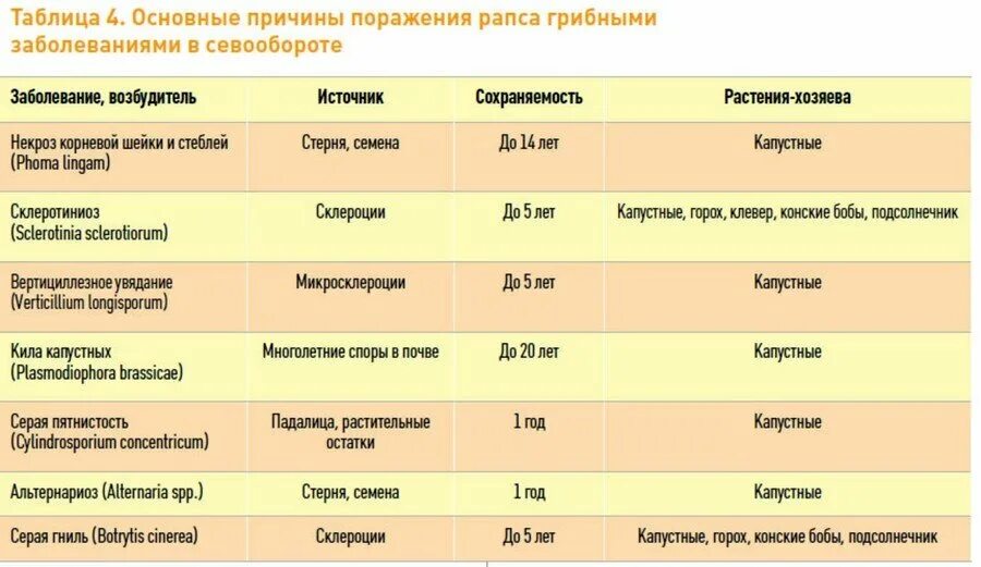 Севооборот рапс. Предшественники сельскохозяйственных культур. Схемы севооборотов сельскохозяйственных культур. Схема севооборота зерновых культур.