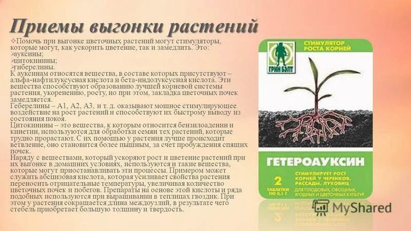 Фенольные ингибиторы роста растений. Ингибиторы и стимуляторы. Фитогормоны ингибиторы роста растений. Ингибитор роста растений. Средства защиты растений.