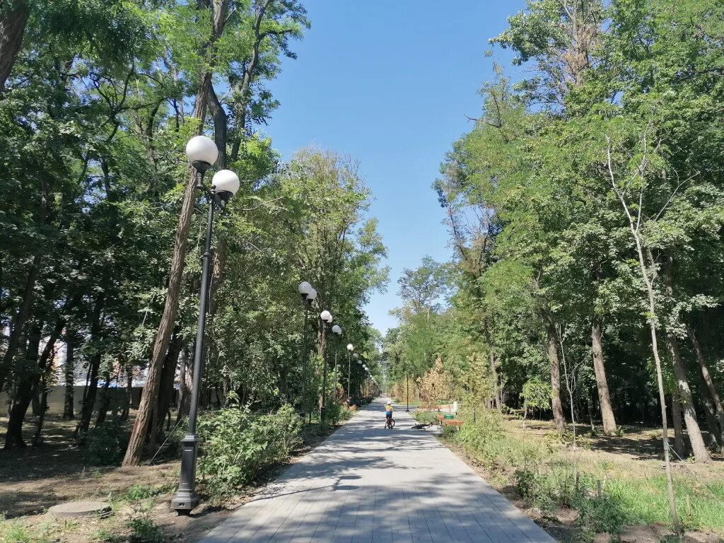 Вересаева ростов на дону. Ростов парк вересаева. Парк вересаево, ростов-на-дону. Парк осенний ростов-на-дону. Парк вересаева ростов.