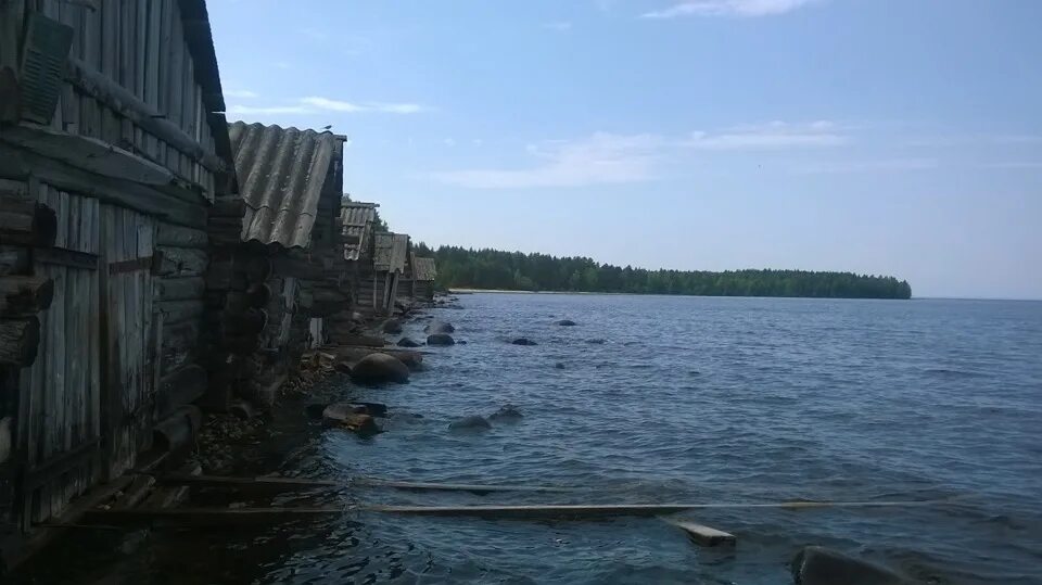 Прогноз вытегра на 3 дня