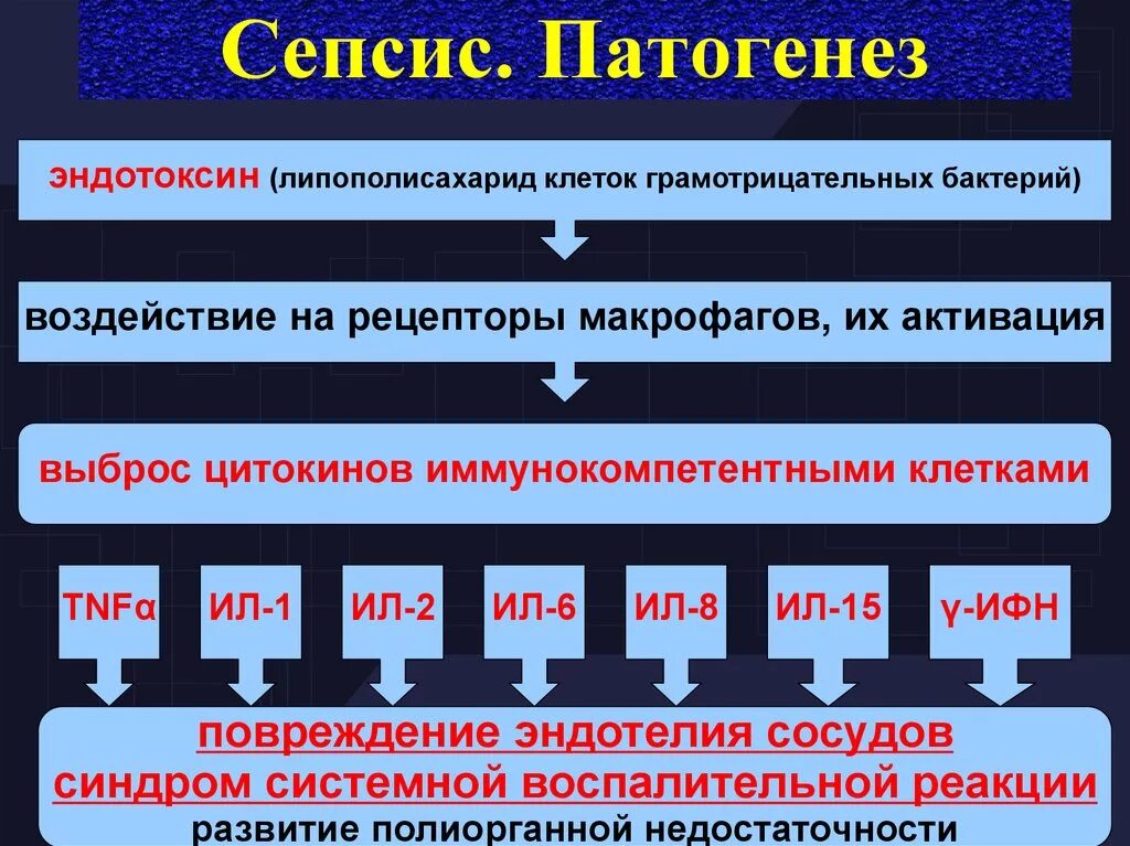 Патогенез септического шока. Патогенез сепсиса. Сепсис этиология патогенез. Механизм развития сепсиса. Сепсис этапы патогенеза.