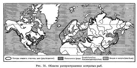 Распространение рыб