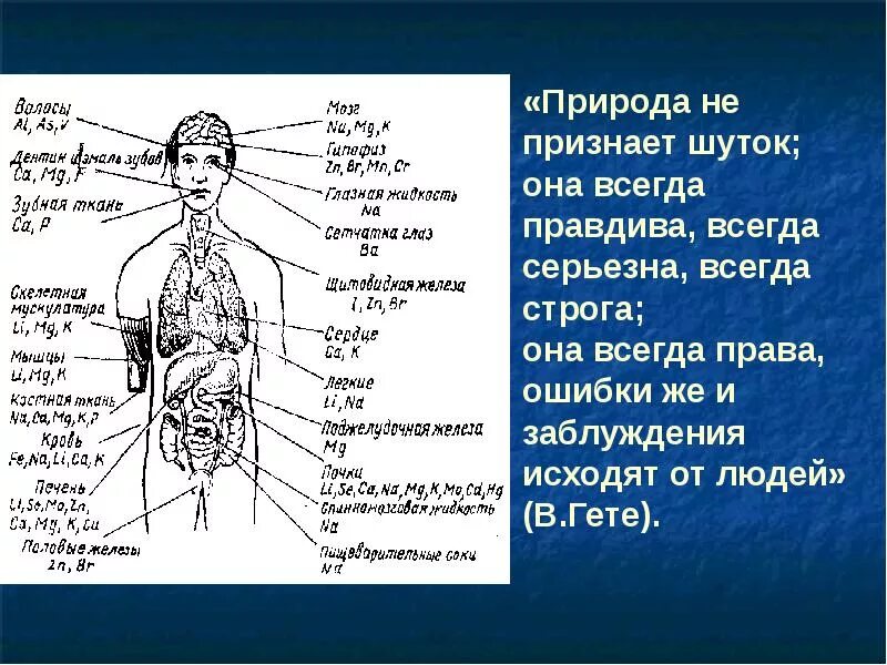 Химические элементы в организме человека. Влияние металлов на организм человека. Элементы металлы в организме человека. Человек металл.