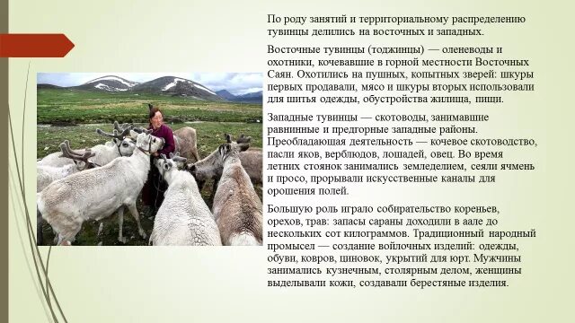 Тувинцы основные занятия. Традиционные занятия тувинцев. Тувинцы народ России. Тувинцы-Тоджинцы. Тувинцы сообщение о народе.