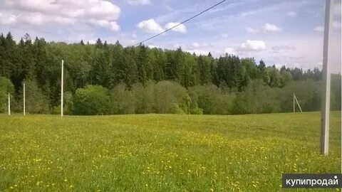 Колец в шаховском районе