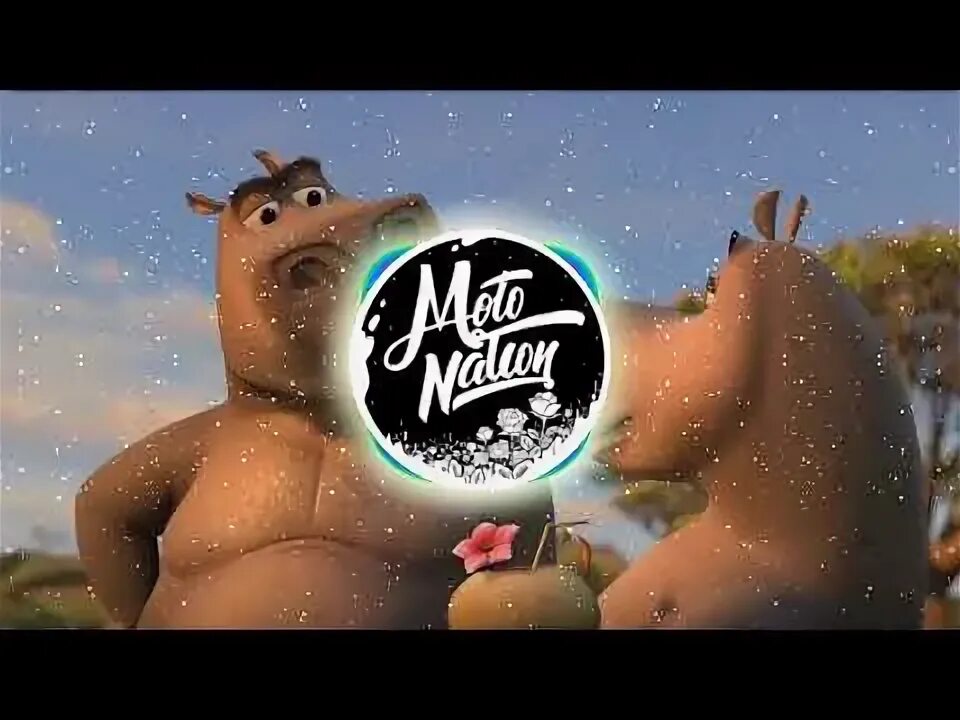 9 My dream: being straight My obstacle: Moto Moto - iFunny