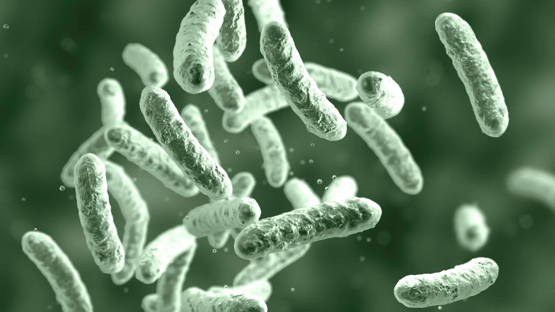 микроорганизмы способны синтезировать