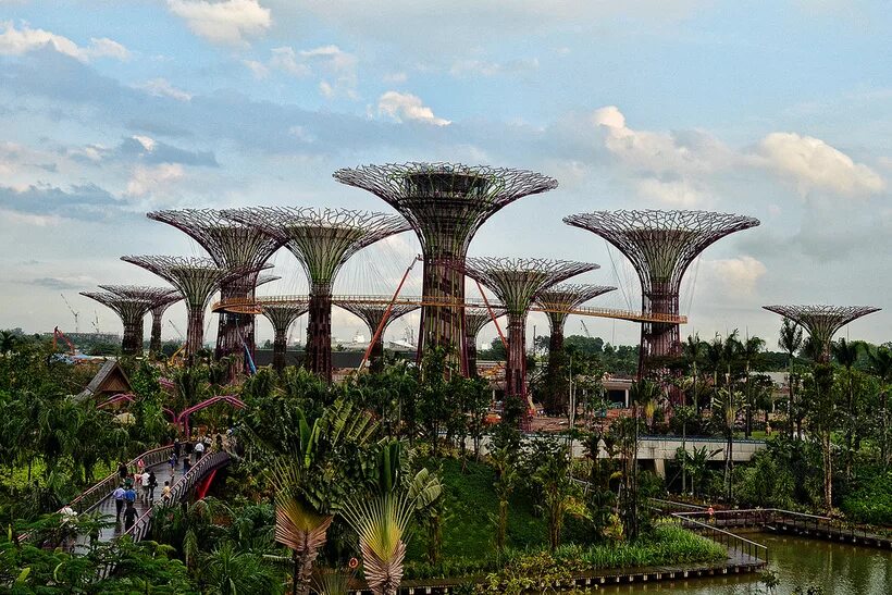 Парк деревьев в сингапуре. Сингапурский ботанический сад сингапур. supertree grove в сингапуре. гарденс бэй бэй сингапур.