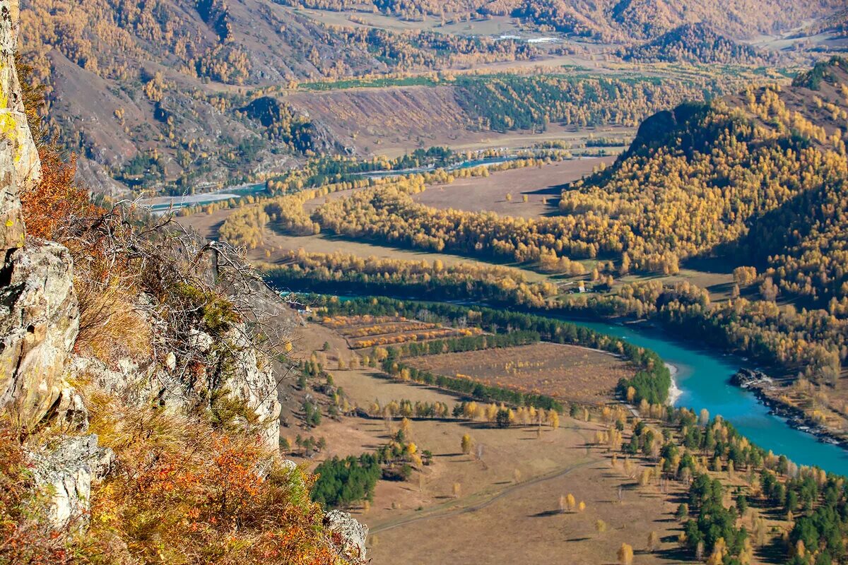 Алтай осенью. Гора верблюд Чемал. Красоты Алтая осенью Яломан. Корнеев Чемал.