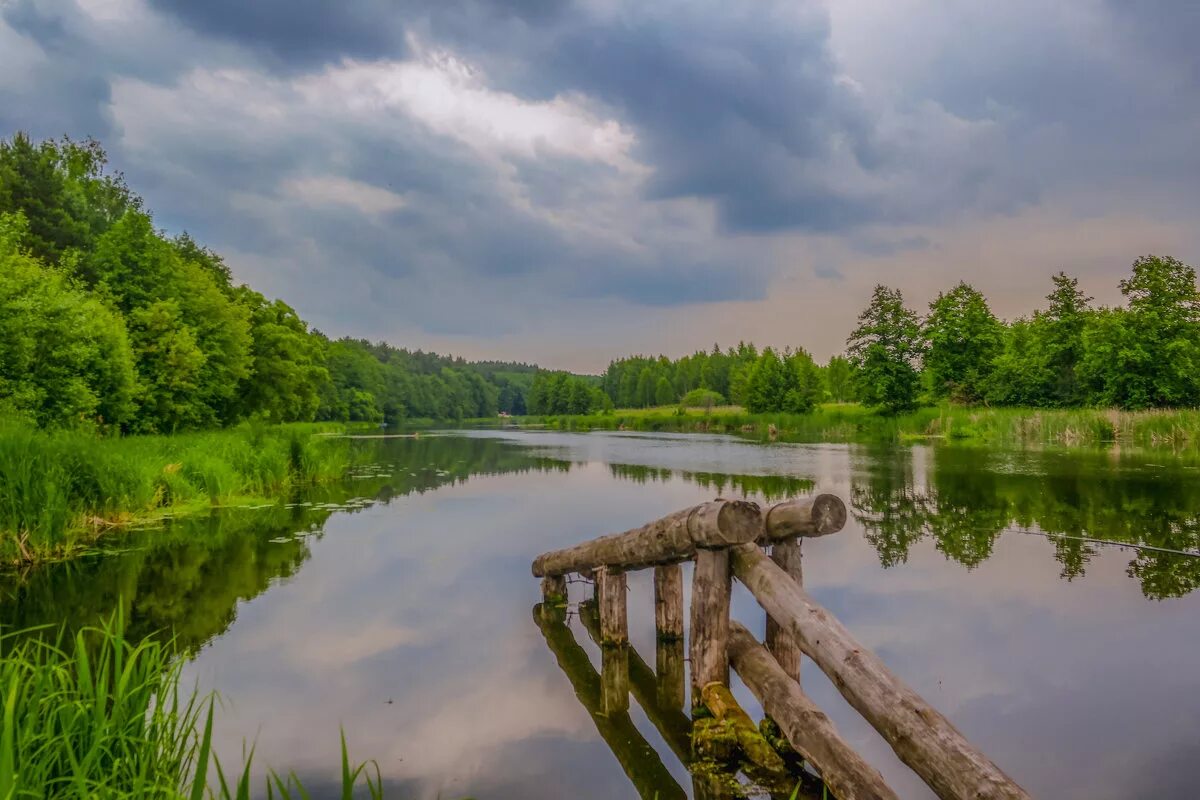 Речка цна. Притоки припяти. Река цна. Цна река рязань. Цна река шатура.