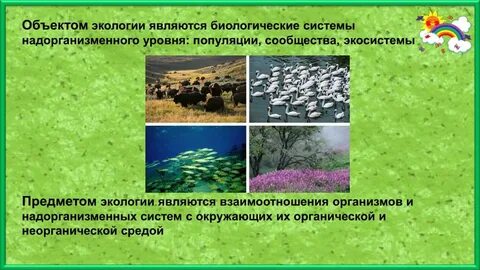 Экологические и биологические системы