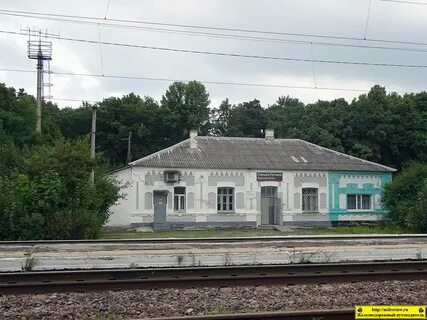 Курск сунджа