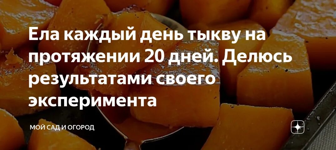 Каждый день есть тыкву. Что будет если есть тыкву каждый день. Если есть тыкву каждый день что будет с организмом. Тыква при похудении. Съесть тыкву