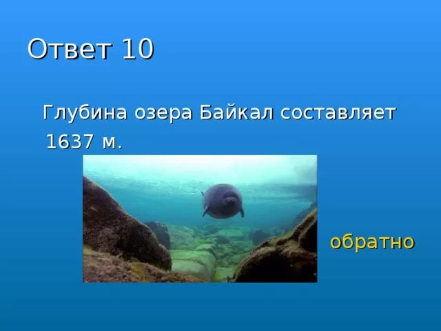 Сравнение озер по глубине. Глубина озера Байкал. Озеро Байкал глубина озера. Глубина озера Байкал максимальная. Глубина оз Байкал.