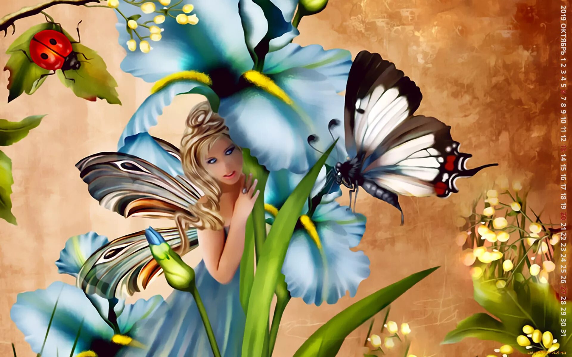 Сказочные феи. Бабочка на цветке. Картина бабочки. Сказочные цветы. Бабочка над головой