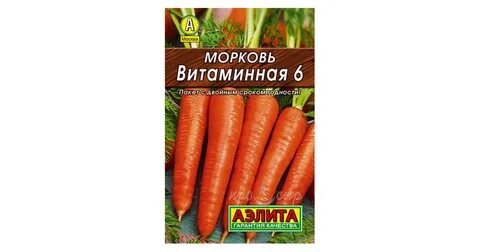 Морковь витаминная