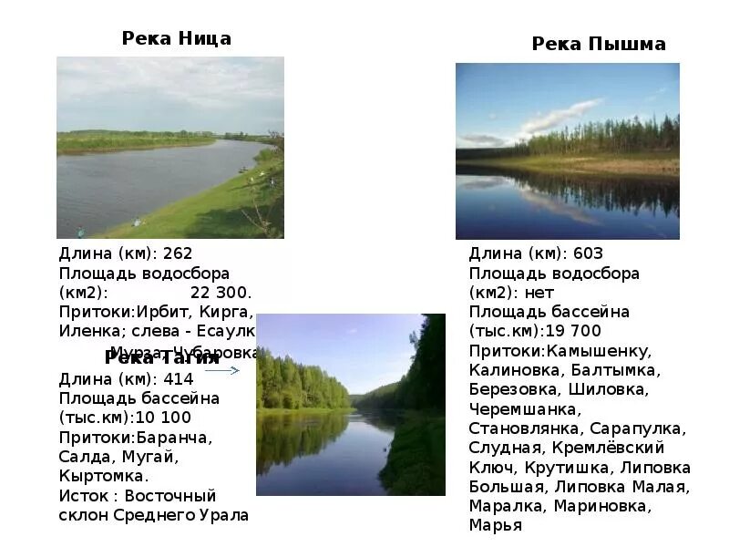 Уровень воды в пышме тюмень. Сообщение о реке Свердловской области. Рассказ о реке Пышме Свердловская область. Краткое описание реки тура в Свердловской области. Река Пышма Исток реки.