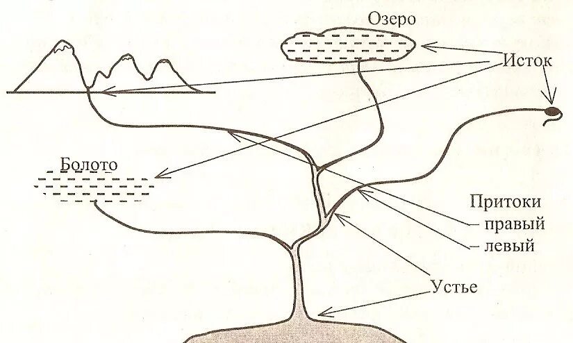 Составные части реки схема. Части реки Исток русло. Река составные части реки. Схема Исток и Устье реки 2 класс. Части реки 6 класс