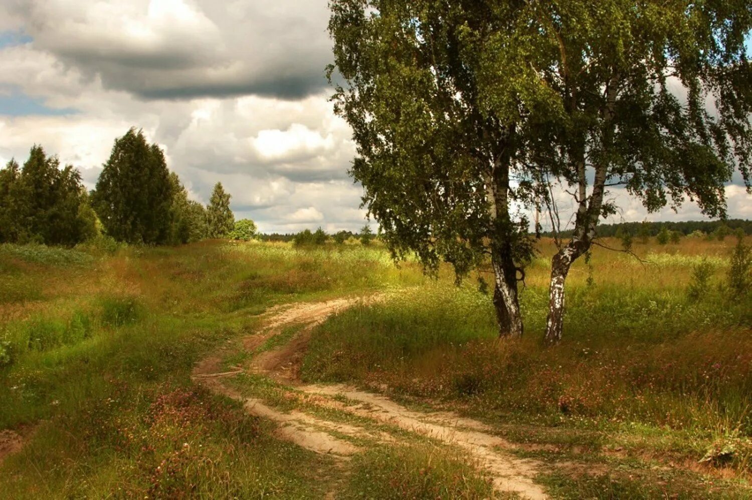 В родных местах дорога. Природа дорога Проселочная. Деревня природа Проселочная дорога. Родные просторы природа родного села. Сельская Проселочная дорога.