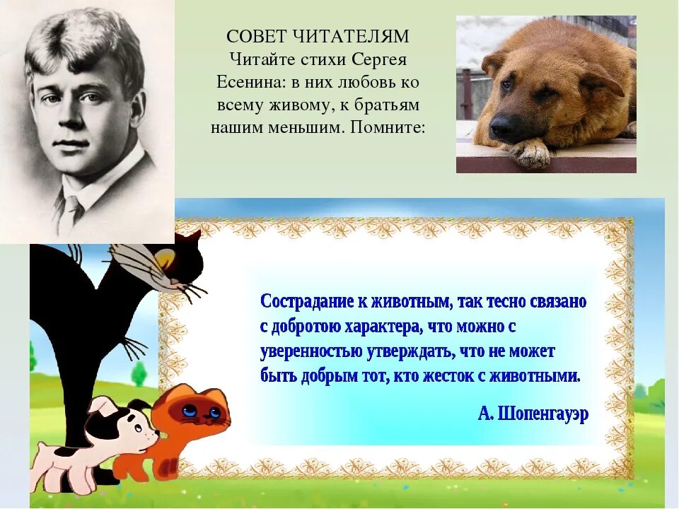 Анализ стихотворения есенина собака. Есенин про собаку Джим. Стих Есенина про собаку. Собака Есенина. Есенин стих про собаку.