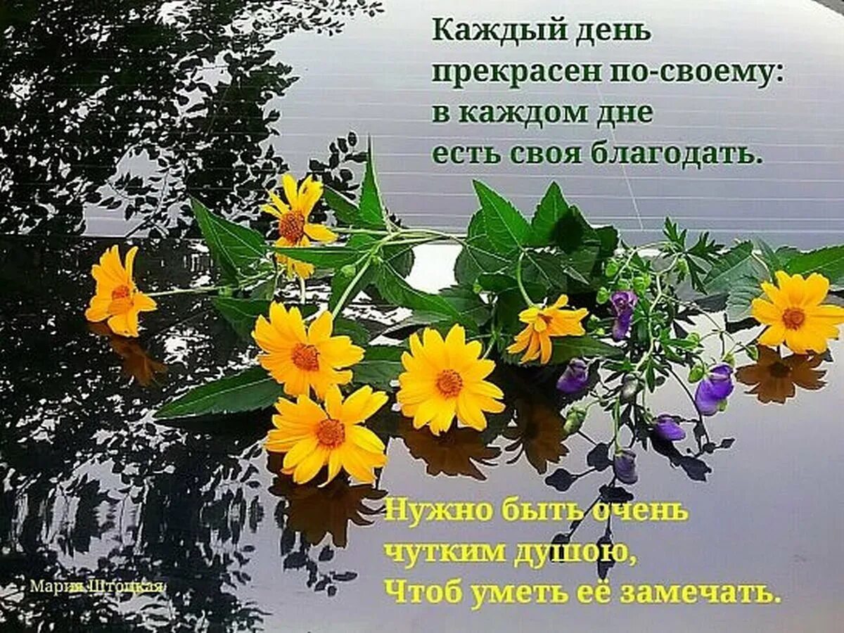 Божии и пожелания с добрым утром. Христианские открытки с добрым днем. Христианские пожелания с добрым утром. Доброго дня и Божьего благословения. Доброго дня и Божьей помощи.