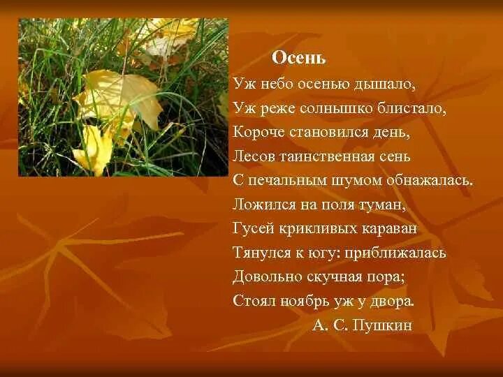 Караван тянулся. Уж небо осенью дышало Пушкин. Уж небо осенью дышало уж реже солнышко. Уж лето осенью дышало стих. Стих короче становился день.