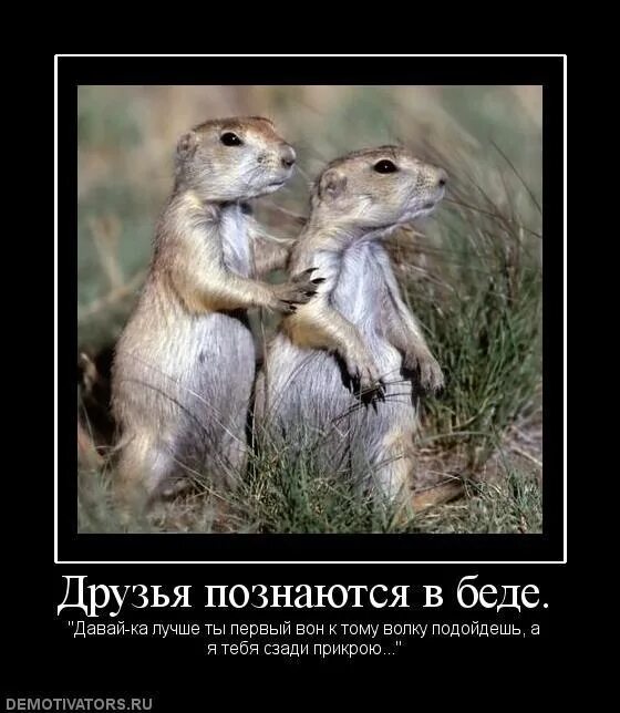 Друг другу не позднее двух