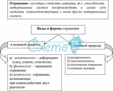 Правильное отражение свойств