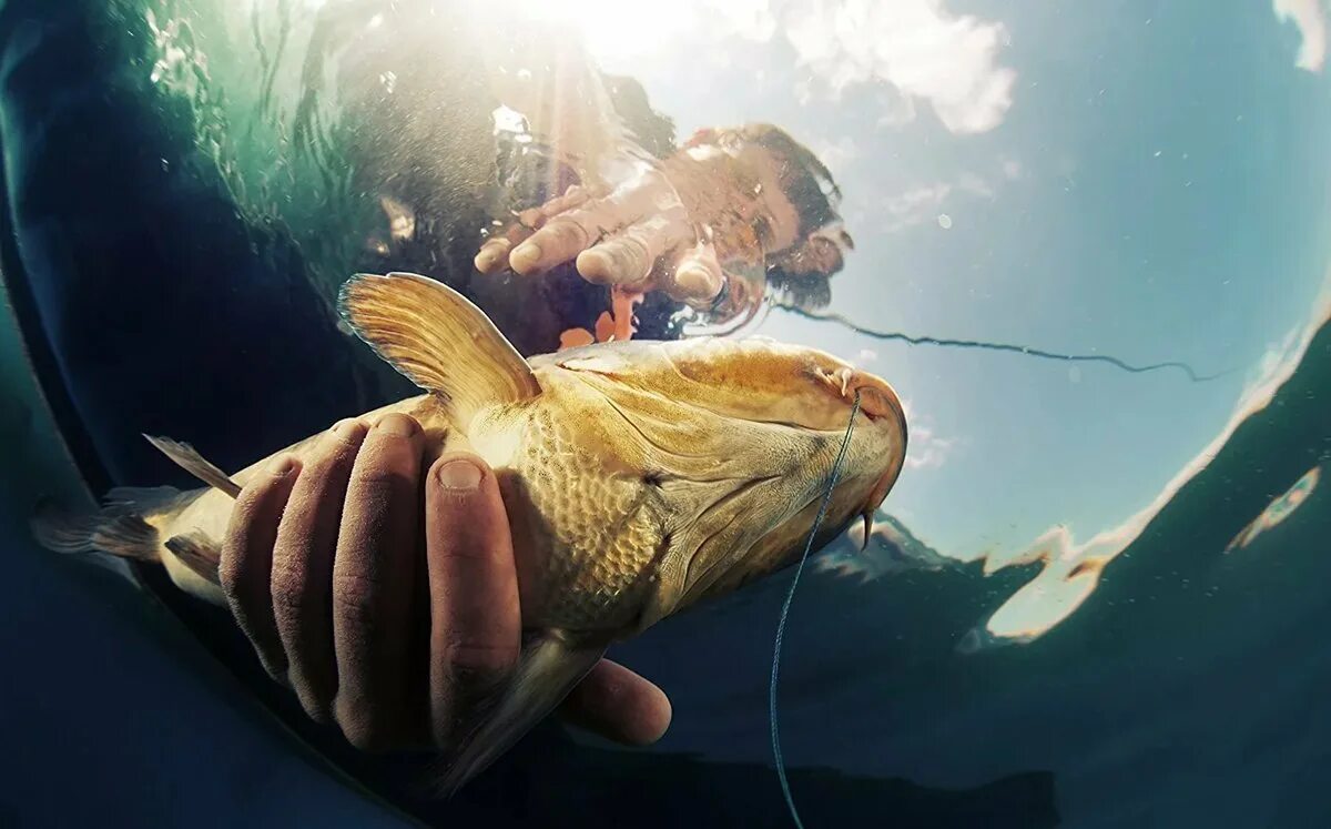 Рыба с руками. Держит рыбу. Рыба с человеческой рукой. Сон поймать крупную рыбу