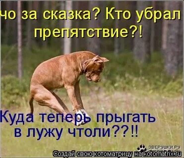 Убери препятствие