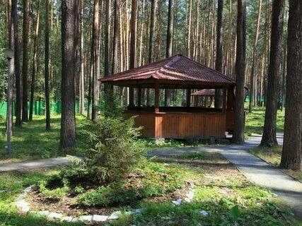 Турбаза зеленая