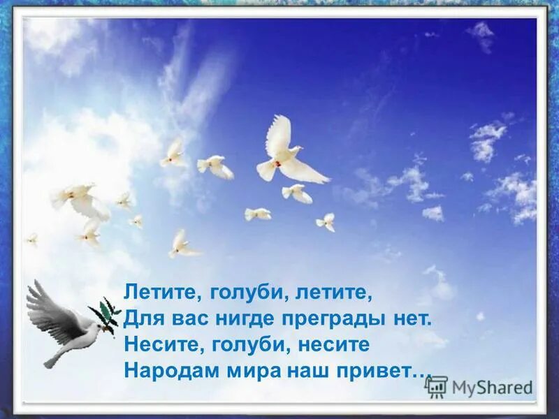 Голубям нигде преграды нет. Голубям нигде преграды нет. Голуби летают над нашей зоной. Голубям нигде преграды нет. Голуби летят над нашей зоной.