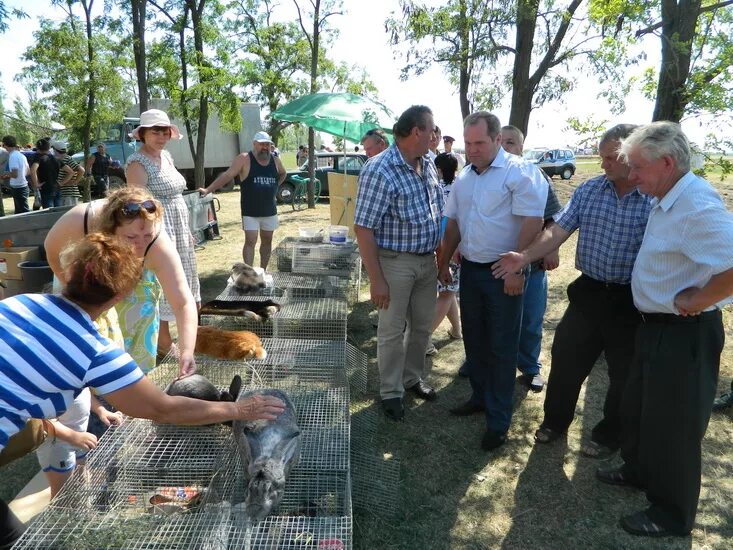 Погода в песчанокопском дней