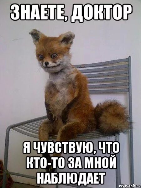 Как проверить что за тобой следят