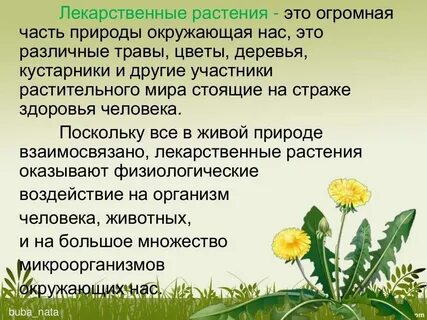 Лекарственные растения в жизни человека