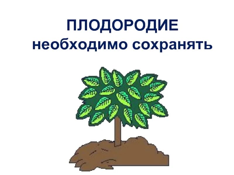 Плодородие н. Плодородие н. Восстановление почвы. Почвенная экология. Плодородная почва.