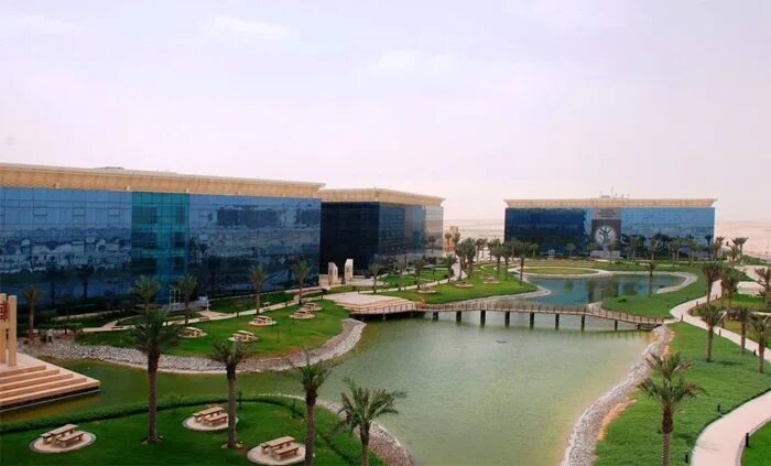 Industrial city park. Dubai Industrial Park. Dubai Industrial City. Jubail Industrial City. Ose industries Dubai.